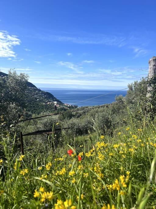 Olivetta House Holiday Moneglia Extérieur photo